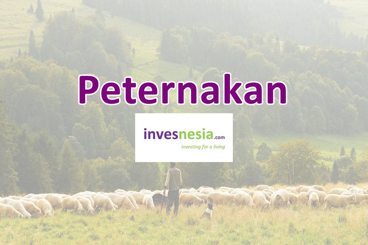 15 Investasi Menguntungkan, Aman, dan Bagus untuk Pemula - Invesnesia.com