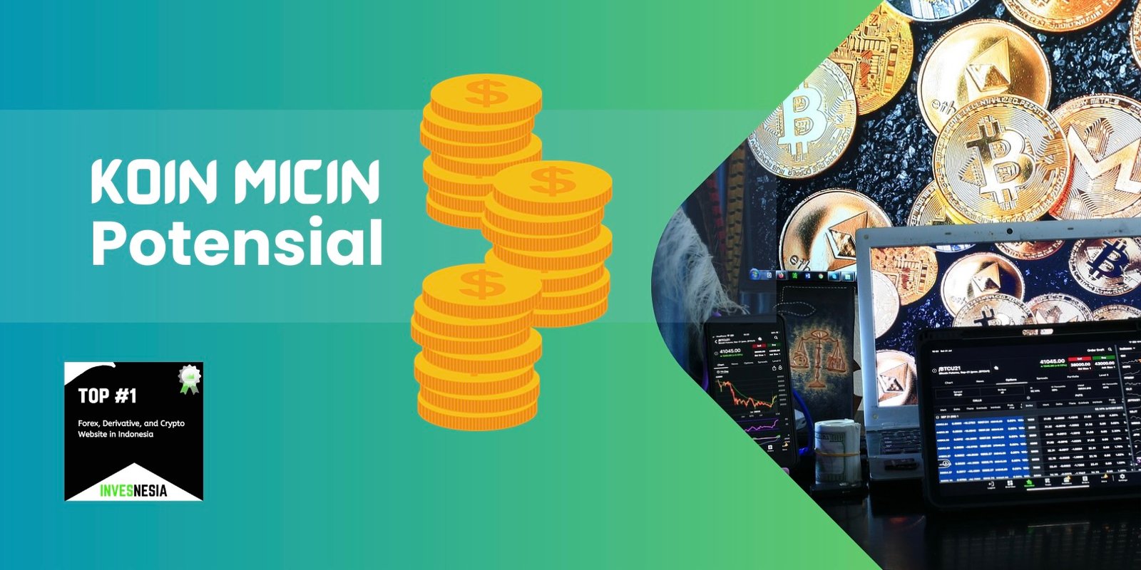 11 Koin Micin Murah Terbaru yang Potensial Naik 2026 - Invesnesia
