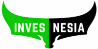 Invesnesia